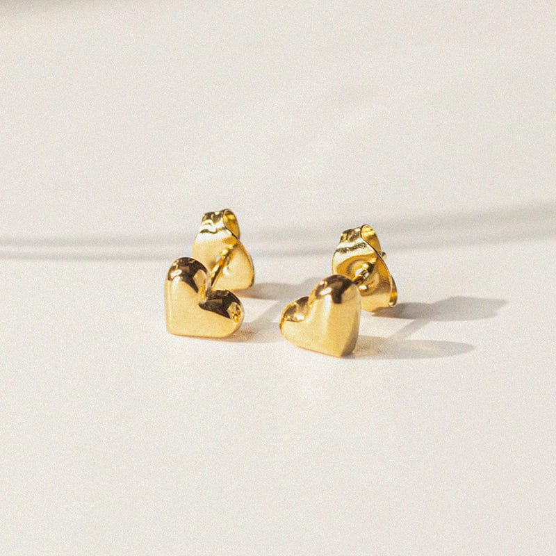 Stereo Love Earrings - Zinfu